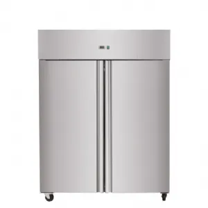 Frigo professionnel inox 2 portes positif 1400 Litres SKYRAINBOW THL1410TN